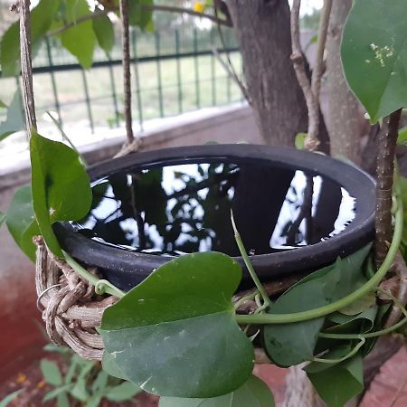 Agsara Home Stay Coimbatore Exterior photo