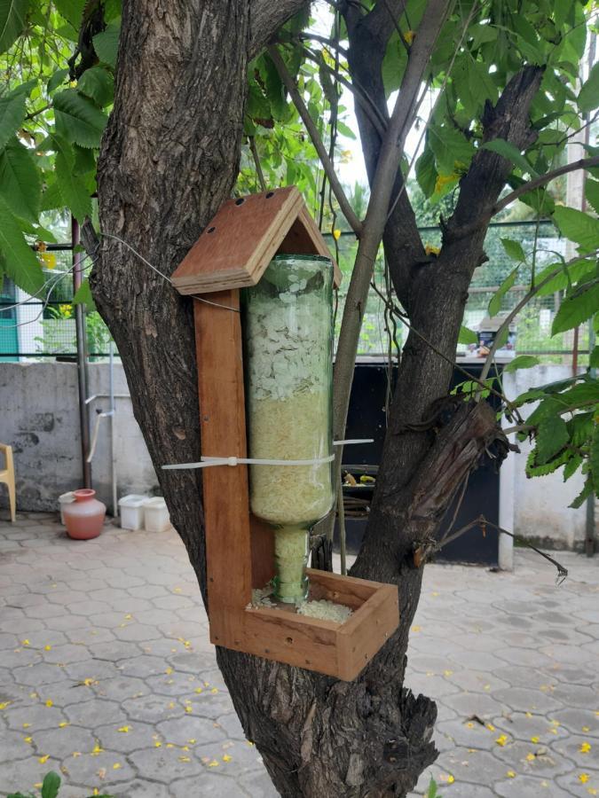Agsara Home Stay Coimbatore Exterior photo